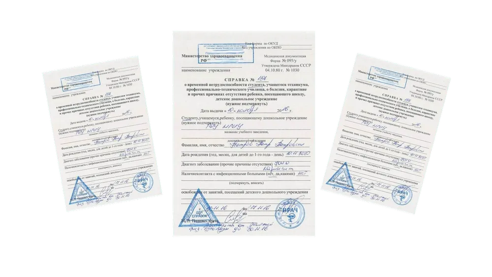 справка 095у в ЭМД